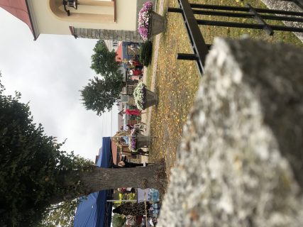 Miniatura 15