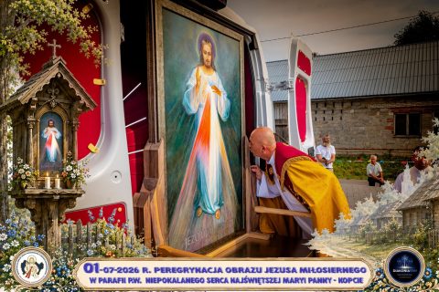 Zdjęcie 15